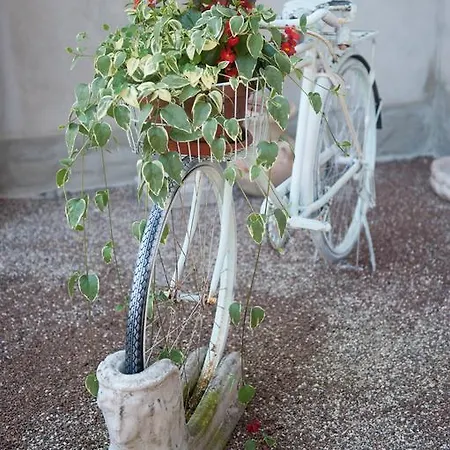 Prázdninový dům 