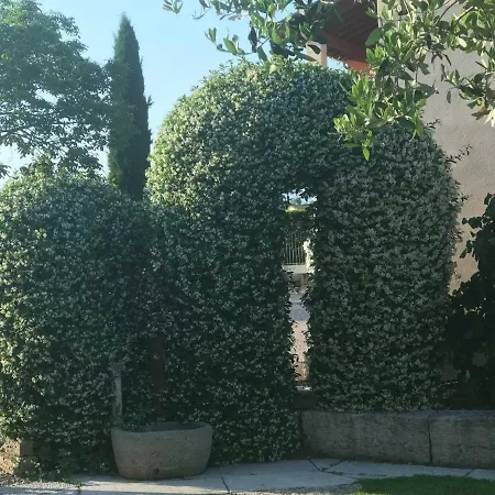 Nyaraló 